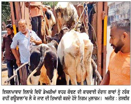  ਨਗਰ ਨਿਗਮ ਨੇ ਇਸਲਾਮਾਬਾਦ ਇਲਾਕੇ 'ਚੋਂ ਡੇਅਰੀਆਂ ਬਾਹਰ ਕੱਢੀਆਂ 
<br/> 