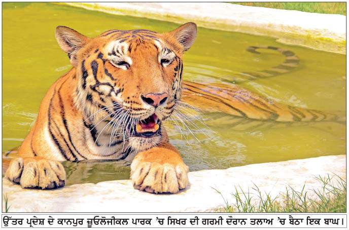  ਉੱਤਰ ਪ੍ਰਦੇਸ਼ ਦੇ ਕਾਨਪੁਰ ਜ਼ੂਓਲੋਜੀਕਲ ਪਾਰਕ 