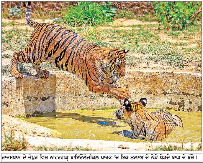  ਰਾਜਸਥਾਨ ਦੇ ਜੈਪੁਰ ਵਿਚ ਨਾਹਰਗੜ੍ਹ...