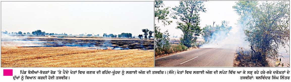   ਰੋਜ਼ਾਨਾ ਅੱਗ ਨਾਲ ਸੁਲਗ ਰਹੇ ਨੇ ਰਾਏਕੋਟ ਇਲਾਕੇ ਦੇ ਖੇਤ, ਪ੍ਰਸ਼ਾਸਨ ਗੂੜ੍ਹੀ ਨੀਂਦ ਸੁੱਤਾ  