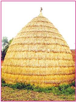 ਅਲੋਪ ਹੋ ਰਹੀ ਕੁੱਪ ਬੰਨ੍ਹਣ ਦੀ ਕਲਾ
