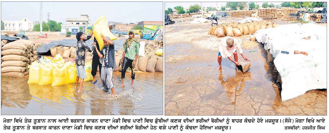  ਮੋਗਾ ਵਿਖੇ ਪਈ ਭਾਰੀ ਬਾਰਿਸ਼ ਤੇ ਹਨੇਰੀ ਝੱਖੜ ਨੇ ਆੜ੍ਹਤੀਆਂ ਤੇ ਮਜ਼ਦੂਰਾਂ ਦੇ ਸਾਹ ਸੂਤੇ  