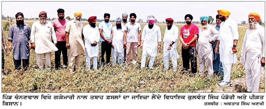  ਪਿੰਡ ਚੰਨਣਵਾਲ 'ਚ ਗੜੇਮਾਰੀ, ਤੇਜ਼ ਹਨੇਰੀ ਨੇ ਕਿਸਾਨਾਂ ਦੀ ਮੂੰਗੀ-ਮੱਕੀ ਦੀ ਫ਼ਸਲ ਤਬਾਹ ਕੀਤੀ-ਵਿਧਾਇਕ ਪੰਡੋਰੀ ਵਲੋਂ ਜਾਇਜ਼ਾ, ਤੁਰੰਤ ਮੁਆਵਜ਼ੇ ਦੀ ਮੰਗ ਤੇ ਗਿਰਦਾਵਰੀ ਦੇ ਹੁਕਮ
<br/> 
