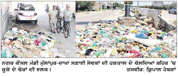  ਨਗਰ ਕੌਂਸਲ ਮੁੱਲਾਂਪੁਰ-ਦਾਖਾ ਦੇ ਸਫ਼ਾਈ ਸੇਵਕਾਂ ਦੀ ਹੜਤਾਲ 11ਵੇਂ ਦਿਨ ਵੀ ਜਾਰੀ ਰਹੀ 