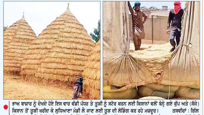  ਤੂੜੀ ਦੇ ਭਾਅ ਨੇ ਤੋੜੇ ਸਾਰੇ ਰਿਕਾਰਡ
200 ਤੋਂ ਸਿੱਧਾ 800 ਰੁਪਏ ਕੁਇੰਟਲ 'ਤੇ ਪਹੁੰਚਿਆ