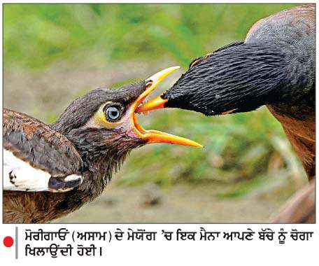  ਮੋਰੀਗਾਓਾ (ਅਸਾਮ) ਦੇ ਮੇਯੋਂਗ 'ਚ ਇਕ