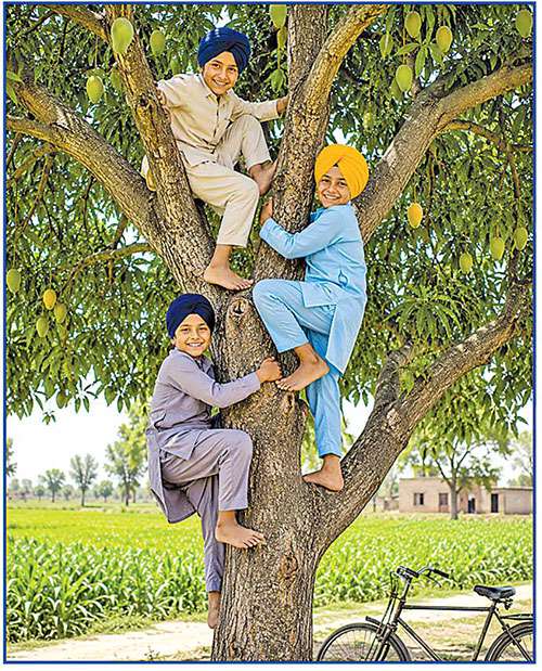  ਰੁੱਖ ਬੋਲ ਨਾ ਸਕਦੇ ਭਾਵੇਂ...