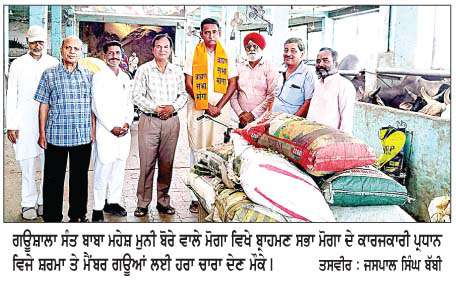  ਬ੍ਰਾਹਮਣ ਸਭਾ ਮੋਗਾ ਵਲੋਂ ਗਊਆਂ ਨੂੰ  ਹਰਾ ਚਾਰਾ ਖੁਆਇਆ  
<br/> 