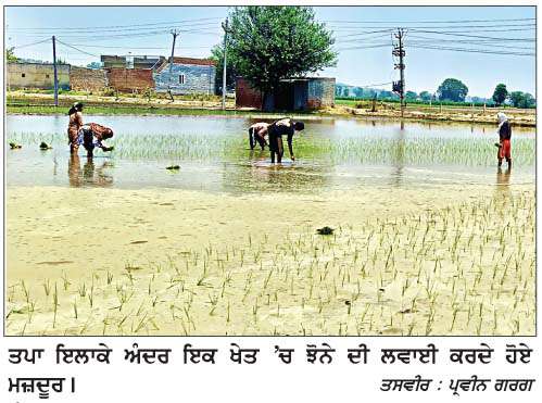  ਅੱਤ ਦੀ ਪੈ ਰਹੀ ਗਰਮੀ ਦੇ ਚਲਦਿਆਂ ਇਲਾਕੇ 'ਚ ਝੋਨੇ ਦੀ ਲਵਾਈ ਦਾ ਕੰਮ ਟਾਂਵਾਂ ਟਾਂਵਾਂ ਸ਼ੁਰੂ 
<br/> 