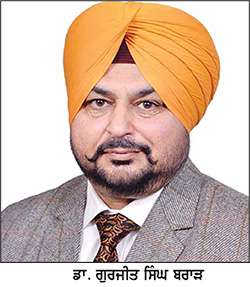  ਪੰਜਾਬ 'ਚ ਤਿੰਨ ਫ਼ਸਲੀ ਚੱਕਰ ਦਾ ਬਦਲ ਲੱਭਣ ਦੀ ਲੋੜ
