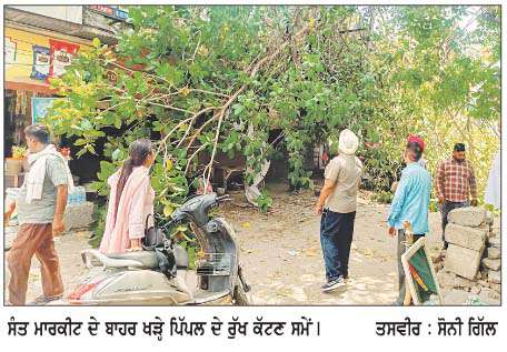  ਖੰਨਾ 'ਚ ਪਿੱਪਲ ਦੇ ਰੁੱਖ ਨੂੰ  ਕੱਟਣ ਦੀ ਕੋਸ਼ਿਸ਼ ਦਾ ਵਿਰੋਧ, ਜੰਗਲਾਤ ਵਿਭਾਗ ਨੇ ਰੁਕਵਾਈ ਕਟਾਈ  