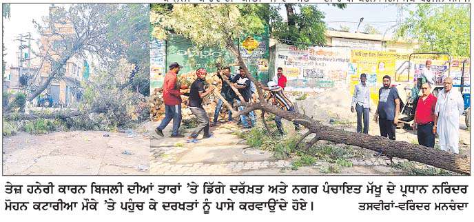  ਤੇਜ਼ ਹਨ੍ਹੇਰੀ ਕਾਰਨ ਸੜਕਾਂ 'ਤੇ ਡਿੱਗੇ ਦਰੱਖ਼ਤ, ਬਿਜਲੀ ਸਪਲਾਈ ਠੱਪ  