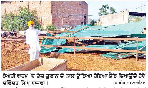  ਤੇਜ਼ ਤੂਫ਼ਾਨ ਨਾਲ ਡੇਅਰੀ ਫਾਰਮ 'ਚ ਪਸ਼ੂਆਂ ਲਈ ਬਣਾਇਆ ਸ਼ੈੱਡ ਡਿੱਗਿਆ 