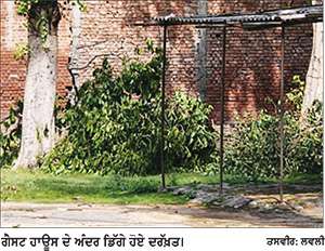 ਤੂਫ਼ਾਨ ਤੇ ਹਨੇਰੀ ਕਾਰਨ ਸਰਕਾਰੀ ਗੈਸਟ ਹਾਊਸ ਦੀ ਕੰਧ ਤੇ ਦਰੱਖਤ ਡਿੱਗੇ