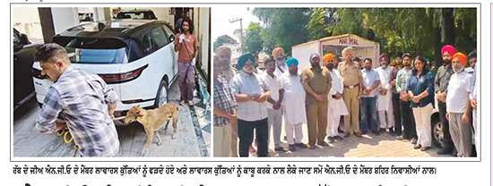 ਐਨ.ਜੀ.ਉਂ.ਨੇ ਮੋਰਿੰਡਾ ਵਿਖੇ 18 ਲਾਵਾਰਸ ਕੁੱਤਿਆਂ ਨੂੰ ਕੀਤਾ ਕਾਬੂ
