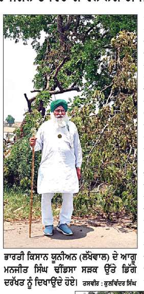  ਕਈ ਦਿਨਾਂ ਤੋਂ ਸੜਕ ਵਿਚਾਲੇ ਡਿੱਗਾ ਦਰੱਖਤ ਦੇ ਰਿਹਾ ਕਿਸੇ ਵੱਡੀ ਘਟਨਾ ਦਾ ਸੰਕੇਤ, ਜੰਗਲਾਤ ਵਿਭਾਗ ਬੇਖਬਰ