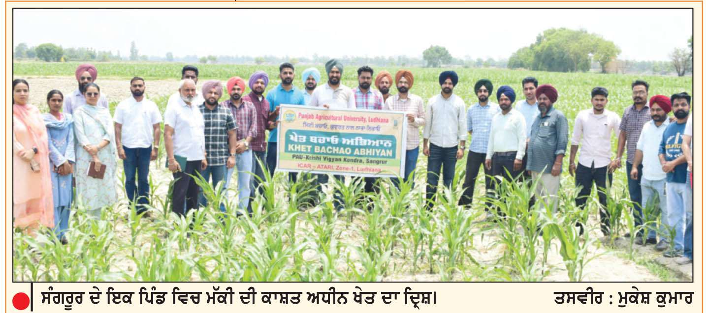  ਪੰਜਾਬ ਵਿਚ ਈਥਾਨੋਲ ਉਦਯੋਗ ਦੇ ਵਿਕਸਿਤ ਹੋਣ ਨਾਲ ਮੱਕੀ ਦੀ ਮੰਗ ਵਧਣ ਲੱਗੀ
