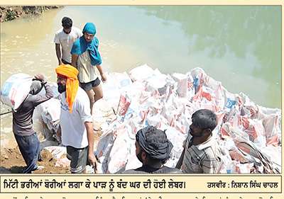ਸਠਿਆਲੀ ਹੈੱਡਵਰਕਸ ਨੇੜੇ ਪਾੜ ਪਾਉਣ ਲਈ ਨਹਿਰੀ ਵਿਭਾਗ ਨੇ ਚੂਹੇ ਨੂੰ ਜ਼ਿੰਮੇਵਾਰ ਦੱਸਿਆ
