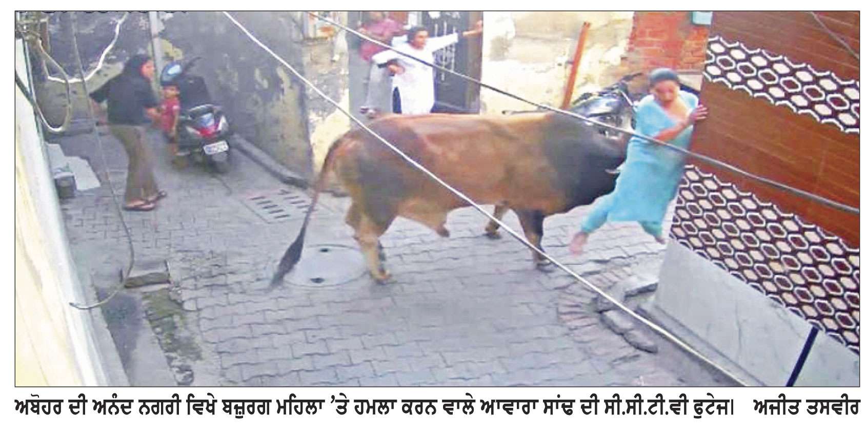 ਅਬੋਹਰ ’ਚ ਬੇਸਹਾਰਾ ਪਸ਼ੂਆਂ ਦਾ ਆਤੰਕ
 ਆਵਾਰਾ ਸਾਂਢ ਨੇ ਗਲੀ ’ਚ ਖੜ੍ਹੀ ਬਜ਼ੁਰਗ ਮਹਿਲਾ ਨੂੰ ਮਾਰੀ ਟੱਕਰ