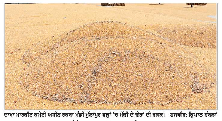 ਫਰਜ਼ੀ ਫੀਡ ਮਿੱਲ ਮਾਲਕਾਂ ’ਤੇ ਦਾਖਾ ਮਾਰਕੀਟ ਕਮੇਟੀ ਦੀ ਅਫ਼ਸਰਸ਼ਾਹੀ ਪੂਰੀ ਮੇਹਰਬਾਨ !