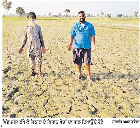 ਪਾਣੀ ਅਤੇ ਬਿਜਲੀ ਦੀ ਘਾਟ ਕਾਰਨ ਪਿੰਡ ਜੱਲਾ ਲੱਖੇ ਕੇ ਹਿਠਾੜ ਦੇ ਕਿਸਾਨਾਂ ਦਾ ਝੋਨਾ ਸੁੱਕਣ ਲੱਗਿਆ