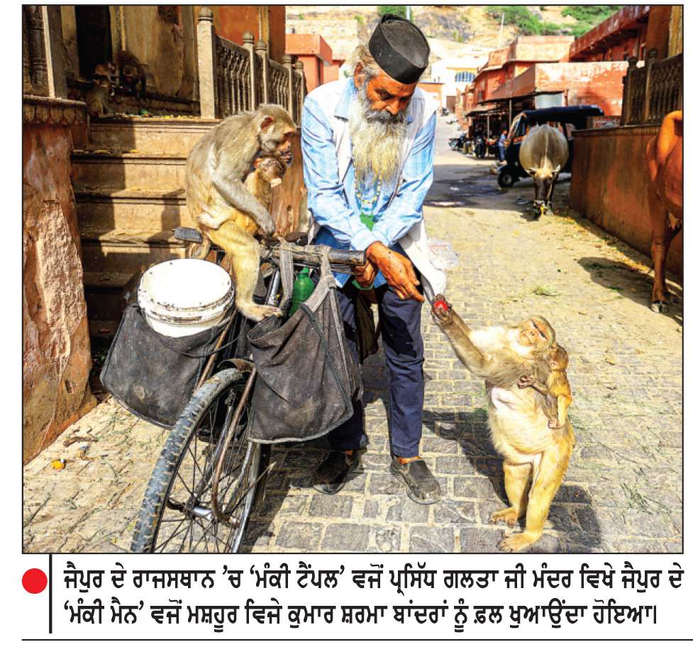 ਜੈਪੁਰ ਵਿਖੇ ‘ਮੰਕੀ ਮੈਨ’ ਵਜੋਂ 