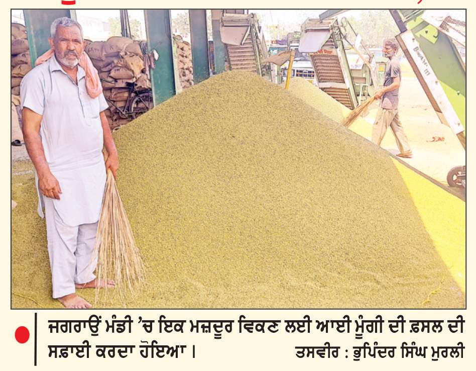  ਸਰਕਾਰੀ ਖ਼ਰੀਦ ਨਾ ਹੋਣ ਕਾਰਨ ਮੂੰਗੀ ਤੇ ਮੱਕੀ ਦਾ ਕਿਸਾਨਾਂ ਨੂੰ ਨਹੀਂ ਮਿਲ ਰਿਹਾ ਪੂਰਾ ਮੁੱਲ

