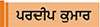  ਗਲੀ ਦੇ ਕੁੱਤੇ