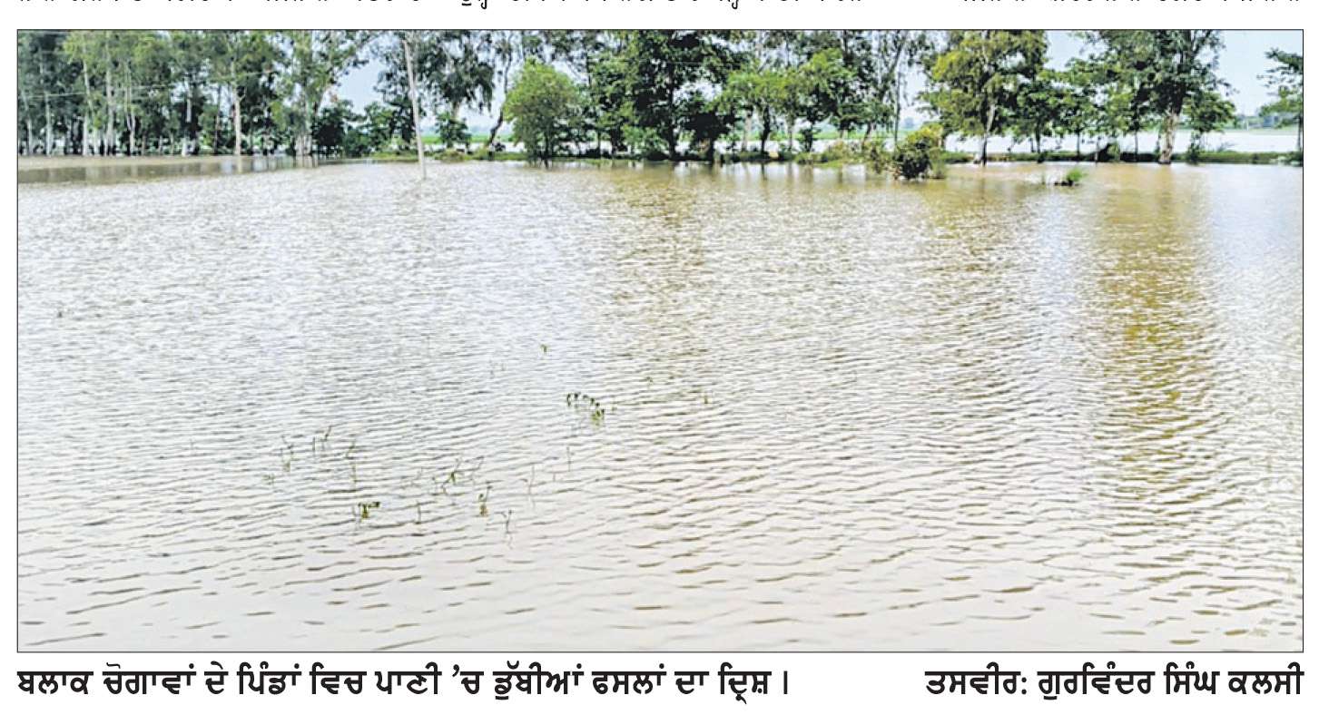  ਸੱਕੀ ਤੇ ਬਰਸਾਤੀ ਨਾਲਿਆਂ ’ਚ ਉਛਾਲ ਕਾਰਨ ਹਜ਼ਾਰਾਂ ਏਕੜ ਫਸਲ ਪਾਣੀ ’ਚ ਡੁੱਬੀ
