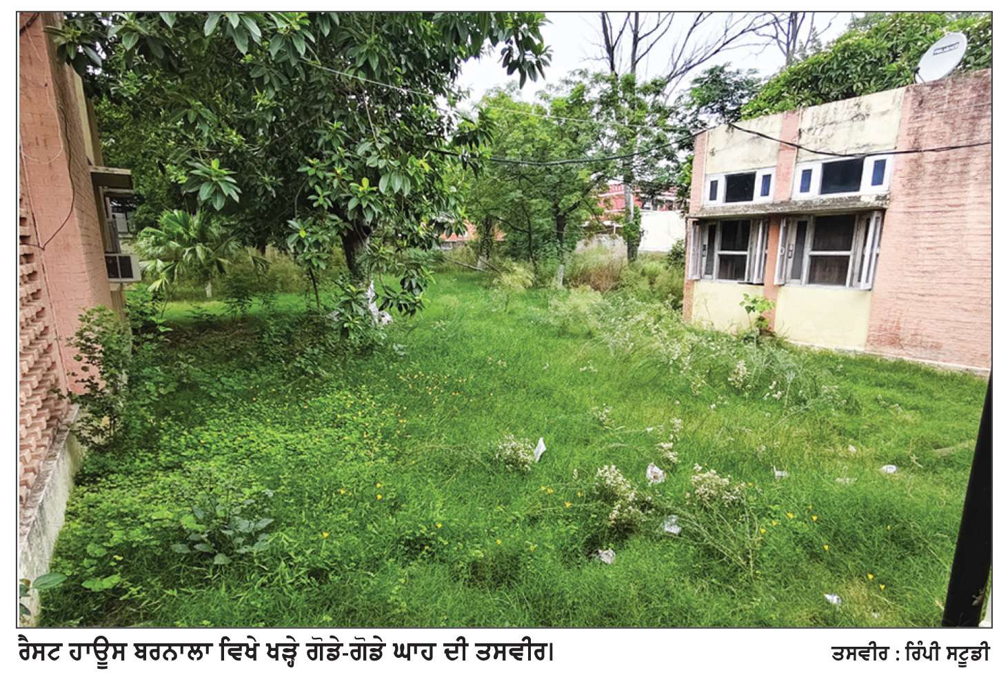  ਬਰਨਾਲਾ ਦੇ ਸਰਕਾਰੀ ਰੈੱਸਟ ਹਾਊਸ ਦੀ ਦਿਨੋ-ਦਿਨ ਮਾੜੀ ਹੁੰਦੀ ਜਾ ਰਹੀ ਹੈ ਹਾਲਤ