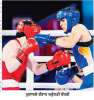ਮੁੱਕੇਬਾਜ਼ੀ ’ਚ ਭਾਰਤ ਦੇ 10 ਤਗਮੇ ਹੋਏ ਪੱਕੇ