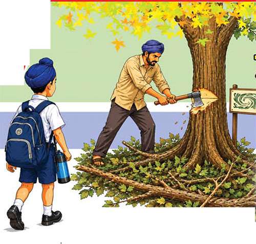  ਰੁੱਖਾਂ ਤੋਂ ਮਿਲਦੀ ਹਰਿਆਲੀ