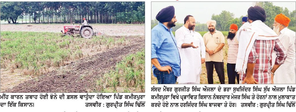 ਪਿਛਲੇ ਦਿਨੀਂ ਪਏ ਭਾਰੀ ਮੀਂਹ ਨੇ ਅਜਨਾਲਾ ਖੇਤਰ ਦੇ ਕਈ ਕਿਸਾਨਾਂ ਦੀ ਤੋੜੀ ਕਮਰ, ਤਬਾਹ ਹੋਈ ਝੋਨੇ ਦੀ ਫ਼ਸਲ ਵਾਹੁਣ ਲਈ ਮਜਬੂਰ ਹੋਏ ਕਿਸਾਨ