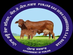 ਗਊਸ਼ਾਲਾਵਾਂ ਦਾ ਬਿਜਲੀ ਬਿੱਲ ਮੁਆਫ ਕਰਨ 'ਤੇ ਗਊ ਸੇਵਾ ਕਮਿਸ਼ਨ ਨੇ ਮੁੱਖ ਮੰਤਰੀ ਭਗਵੰਤ ਮਾਨ ਦਾ ਕੀਤਾ ਧੰਨਵਾਦ