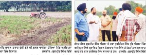 ਪਿਛਲੇ ਦਿਨੀਂ ਪਏ ਭਾਰੀ ਮੀਂਹ ਨੇ ਅਜਨਾਲਾ ਖੇਤਰ ਦੇ ਕਈ ਕਿਸਾਨਾਂ ਦੀ ਤੋੜੀ ਕਮਰ, ਤਬਾਹ ਹੋਈ ਝੋਨੇ ਦੀ ਫ਼ਸਲ ਵਾਹੁਣ ਲਈ ਮਜਬੂਰ ਹੋਏ ਕਿਸਾਨ