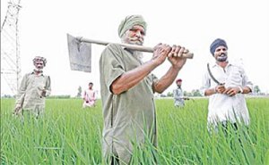 ਫ਼ੈਲਦੇ ਬਾਜ਼ਾਰ ਵਿਚ ਅਸੁਰੱਖਿਅਤ ਹੁੰਦਾ ਜਾ ਰਿਹਾ ਕਿਸਾਨ