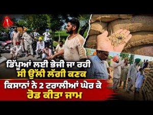 Farmers Stop Moldy Wheat Trolleys | ਕਿਸਾਨਾਂ ਨੇ 2 ਟਰਾਲੀਆਂ ਘੇਰ ਕੇ ਰੋਡ ਕੀਤਾ ਜਾਮ