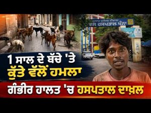 Admitted to Hospital in Serious Condition:1ਸਾਲ ਦੇ ਬੱਚੇ 'ਤੇ ਕੁੱਤੇ ਵਲੋਂ ਹਮ.ਲਾਗੰਭੀਰ ਹਾਲਤ 'ਚ ਹਸਪਤਾਲ ਦਾਖ਼ਲ