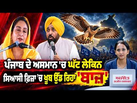 ‘Baaz’ Flies High In Punjab Politics ;  ਸਿਆਸੀ ਫ਼ਿਜ਼ਾ 'ਚ ਖੂਬ ਉੱਡ ਰਿਹਾ 'ਬਾਜ਼'