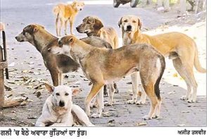 ਅਵਾਰਾ ਕੁੱਤਿਆਂ ਦੀ ਭਰਮਾਰ ਕਾਰਨ ਲੋਕਾਂ ’ਚ ਦਹਿਸ਼ਤ ਦਾ ਮਾਹੌਲ