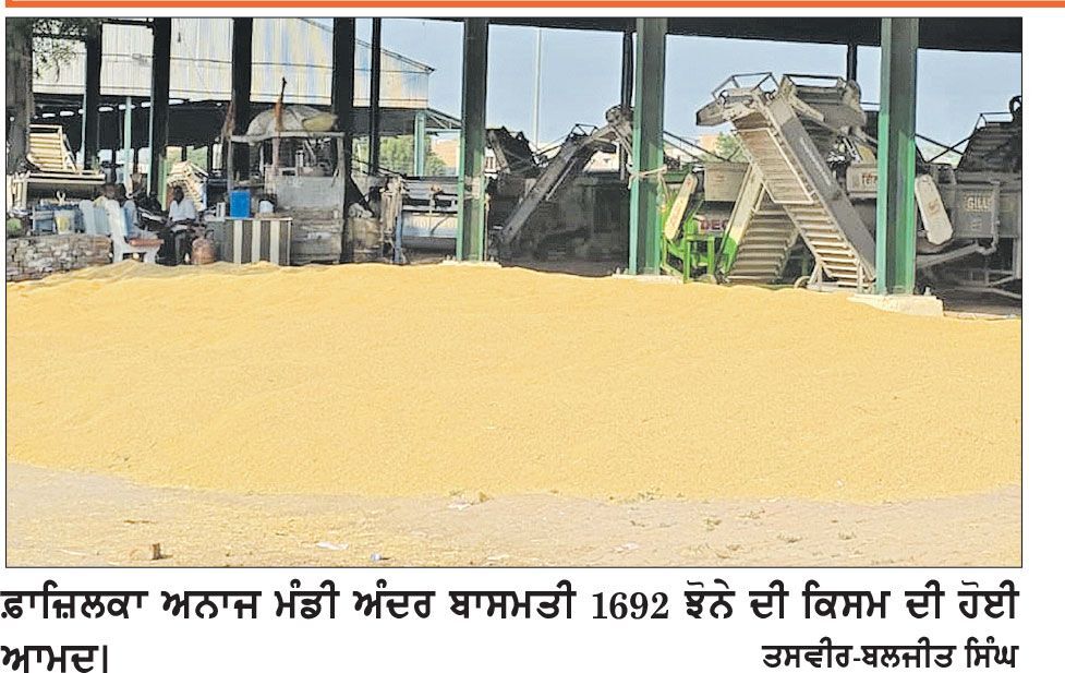 ਫ਼ਾਜ਼ਿਲਕਾ ਮੰਡੀ ’ਚ 1692 ਬਾਸਮਤੀ ਝੋਨੇ ਦੀ ਕਿਸਮ ਵਿਕੀ 4177 ਰੁਪਏ ’ਚ