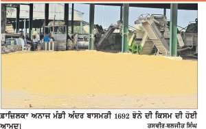ਫ਼ਾਜ਼ਿਲਕਾ ਮੰਡੀ ’ਚ 1692 ਬਾਸਮਤੀ ਝੋਨੇ ਦੀ ਕਿਸਮ ਵਿਕੀ 4177 ਰੁਪਏ ’ਚ