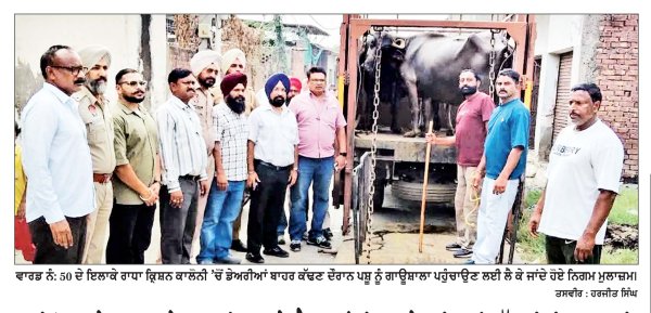 ਹਾਈ ਕੋਰਟ ਦੇ ਹੁਕਮਾਂ ’ਤੇ ਨਗਰ ਨਿਗਮ ਨੇ ਗੈਰ-ਕਾਨੂੰਨੀ ਪਸ਼ੂ ਡੇਅਰੀਆਂ ਵਿਰੁੱਧ ਕੀਤੀ ਕਾਰਵਾਈ