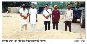 ਝੋਨੇ ਦੀ ਕਟਾਈ ਨੇ ਫੜਿਆ ਜ਼ੋਰ, ਮੰਡੀਆਂ ’ਚ ਆਮਦ ਤੇਜ਼