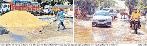ਤੇਜ਼ ਮੀਂਹ ਕਾਰਨ ਮੰਡੀਆਂ ’ਚ ਝੋਨਾ ਭਿੱਜਿਆ, ਪ੍ਰਬੰਧਾਂ ਦੀ ਨਿਕਲੀ ਫੂਕ