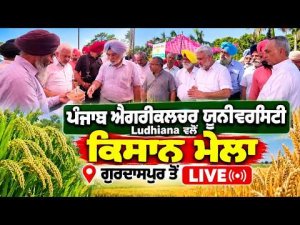 PAU Ludhiana Farmer Fair Live | ਪੰਜਾਬ ਐਗਰੀਕਲਚਰ ਯੂਨੀਵਰਸਿਟੀ ਲੁਧਿਆਣਾ ਵਲੋਂ ਕਿਸਾਨ ਮੇਲਾ ਗੁਰਦਾਸਪੁਰ ਤੋਂ ਲਾਈਵ