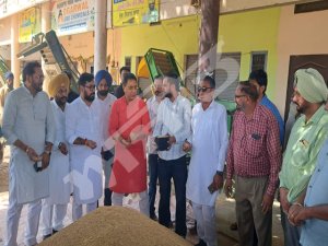 ਅਮਨ ਅਰੋੜਾ ਨੇ ਸੁਨਾਮ ਚ ਝੋਨੇ ਦੀ ਸਰਕਾਰੀ ਖ਼ਰੀਦ ਕਰਵਾਈ ਸ਼ੁਰੂ