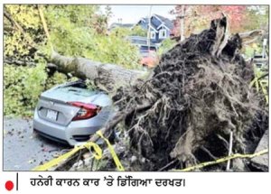ਤੇਜ਼ ਹਨੇਰੀ ਦੇ ਚਲਦਿਆਂ ਦਰੱਖ਼ਤ ਡਿੱਗਣ ਕਾਰਨ ਸੈਂਕੜੇ ਘਰਾਂ ਦੀ ਬਿਜਲੀ ਪ੍ਰਭਾਵਿਤ