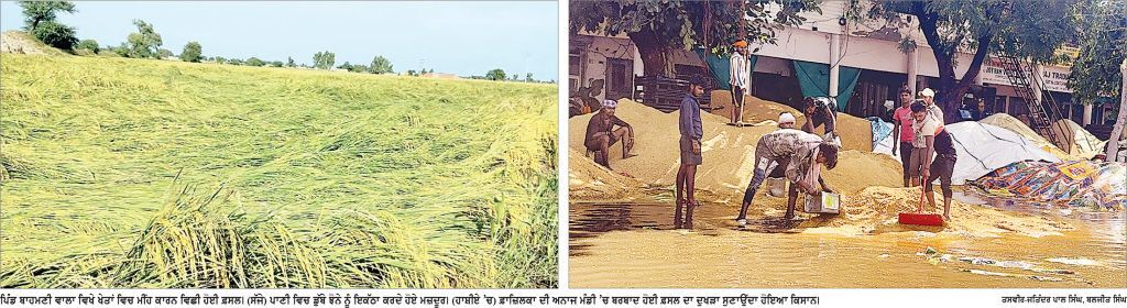 ਅਸਮਾਨੋਂ ਵਰ੍ਹਿਆ ਕਹਿਰ, ਤੜਕਸਾਰ ਚੱਲੇ ਤੇਜ਼ ਝੱਖੜ ਤੇ ਭਾਰੀ ਮੀਂਹ ਨੇ ਕਿਸਾਨਾਂ ਦੇ ਸੁਪਨੇ ਕੀਤੇ ਚਕਨਾਚੂਰ