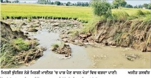 ਤਿਉਣਾ ਡਿਸਟਰੀਬਿਊਟਰੀ ਤੇ ਮਿਠੜੀ ਮਾਈਨਰ ’ਚ ਪਏ ਤਿੰਨ ਪਾੜ, 5 ਪਿੰਡਾਂ ਦਾ ਸੈਂਕੜੇ ਏਕੜ ਝੋਨਾ ਡੁੱਬਿਆ